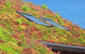 Don Johns living roof systems